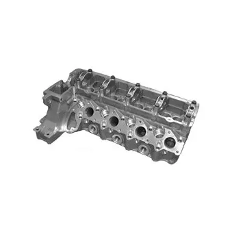 Culasse de cylindre KOLBENSCHMIDT 50003119