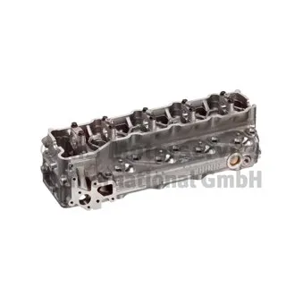 Culasse de cylindre KOLBENSCHMIDT 50003153