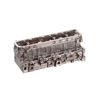 Culasse de cylindre KOLBENSCHMIDT 50003171