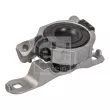 Support moteur FEBI BILSTEIN 177831 - Visuel 1