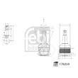 Rotule de suspension FEBI BILSTEIN 178259 - Visuel 2