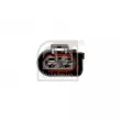 Ventilateur, refroidissement du moteur FEBI BILSTEIN 40636 - Visuel 2