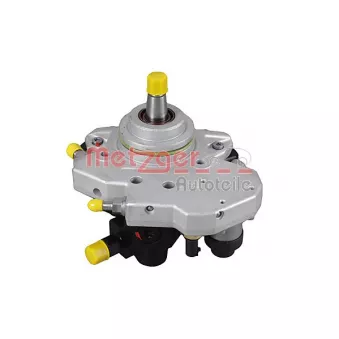 Pompe à haute pression METZGER 0830098