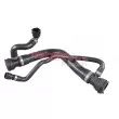Durite de radiateur METZGER 2420318 - Visuel 1