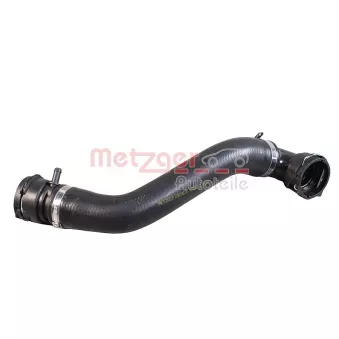 Durite de radiateur METZGER 2420670