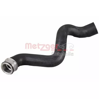 Durite de radiateur METZGER 2421174