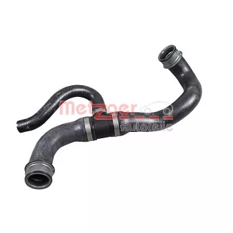 Durite de radiateur METZGER 2421175