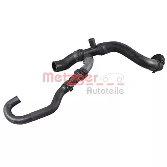 Durite de radiateur METZGER 2421255