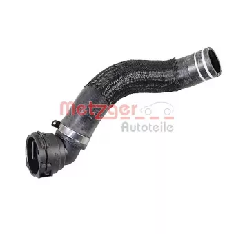 Durite de radiateur METZGER 2421259