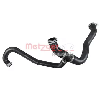 Durite de radiateur METZGER 2421261