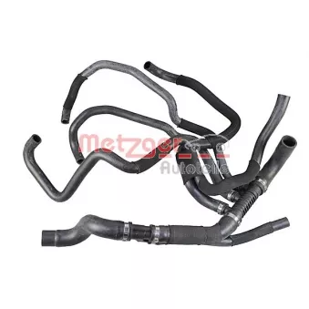 Durite de radiateur METZGER 2421265