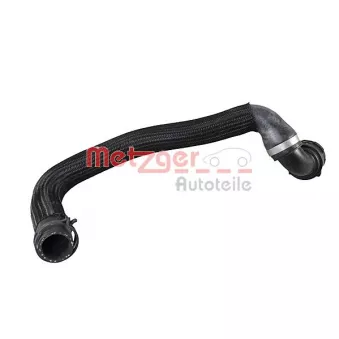 Durite de radiateur METZGER 2421272