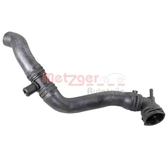 Durite de radiateur METZGER 2421275