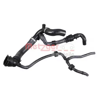 Durite de radiateur METZGER 2421277