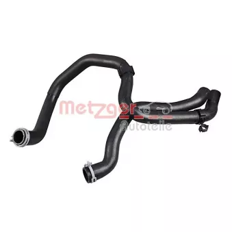 Durite de radiateur METZGER 2421288