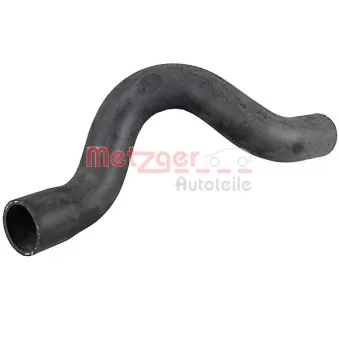 Durite de radiateur METZGER 2421305