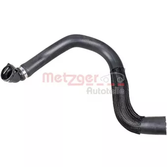 Durite de radiateur METZGER 2421317