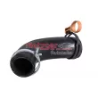 Durite de radiateur METZGER 2421677 - Visuel 1