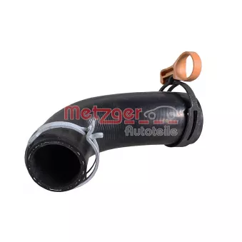 Durite de radiateur METZGER 2421677