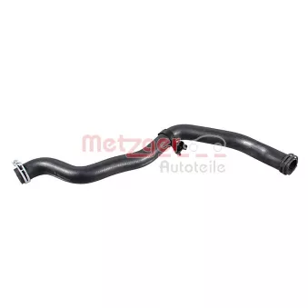 Durite de radiateur METZGER 2421734