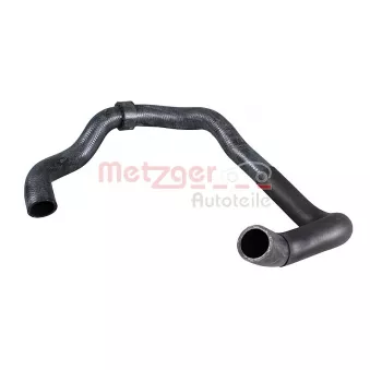 Durite de radiateur METZGER 2421749