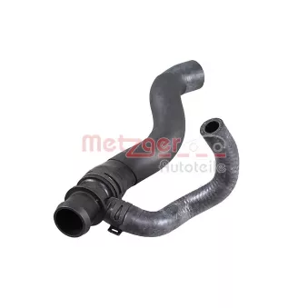 Durite de radiateur METZGER 2421774