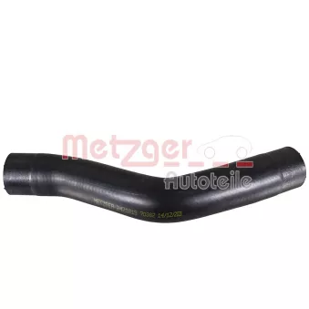 Durite de radiateur METZGER 2421819