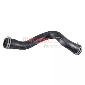 Durite de radiateur METZGER 2421825