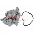 Pompe à eau, refroidissement du moteur METZGER 4007050 - Visuel 1