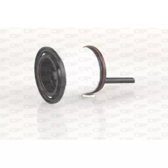 Filtre à carburant OPEN PARTS EFF5317.10
