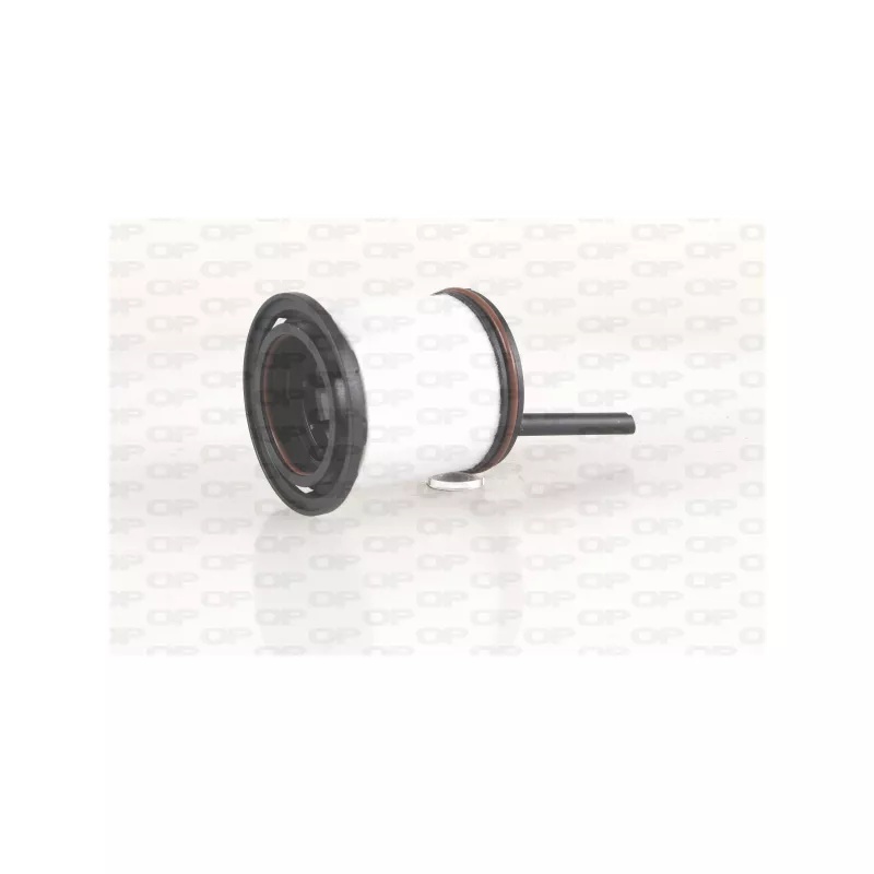 Filtre à carburant OPEN PARTS EFF5317.10