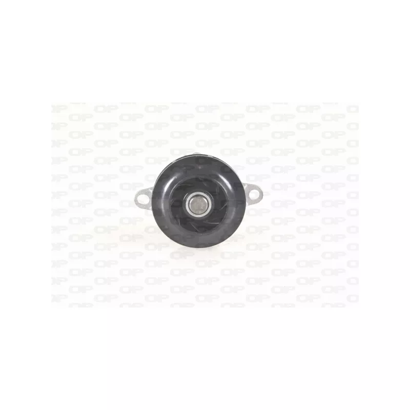 Pompe à eau, refroidissement du moteur OPEN PARTS WAP8635.00