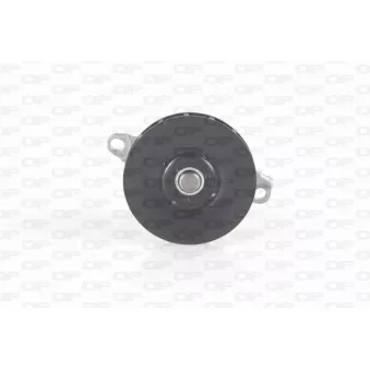 Pompe à eau, refroidissement du moteur OPEN PARTS WAP8637.00