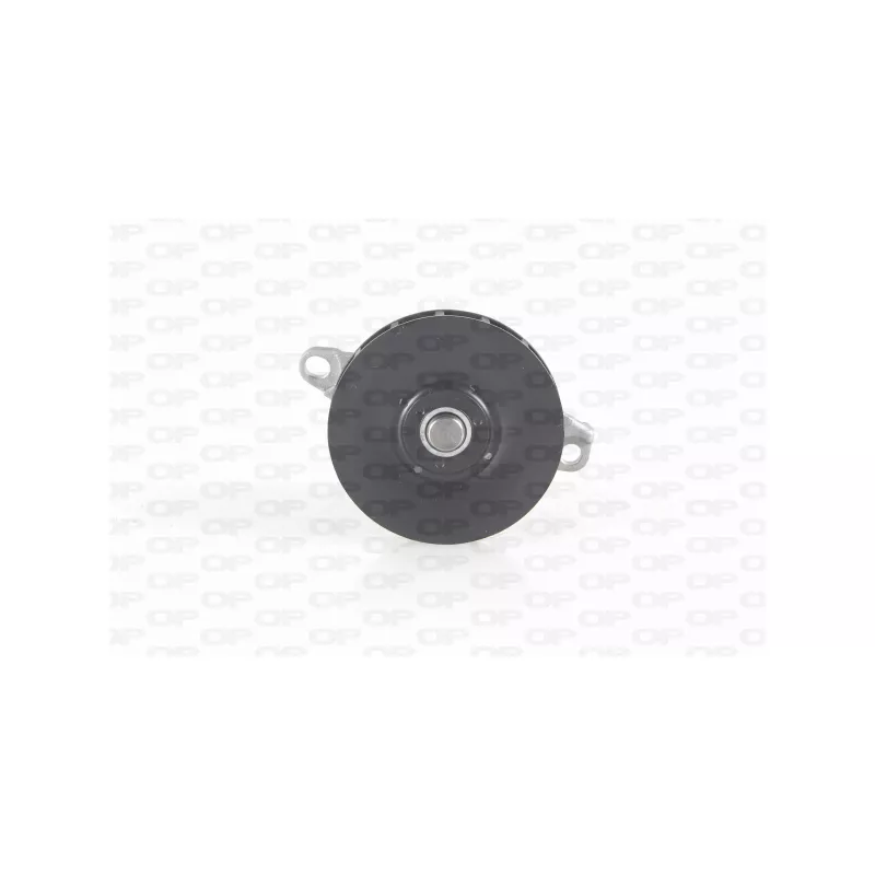 Pompe à eau, refroidissement du moteur OPEN PARTS WAP8637.00
