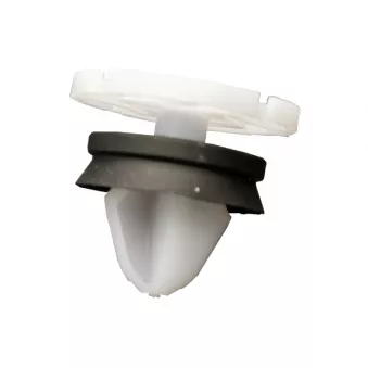 Clip, enjoliveur DÜRER CLAU02s10