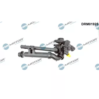 Thermostat d'eau Dr.Motor DRM01925