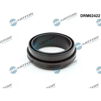Bague d'étanchéité, gaine de suralimentation Dr.Motor DRM02422