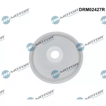 Kit de réparation, valve de commande de la pression Dr.Motor DRM02427R