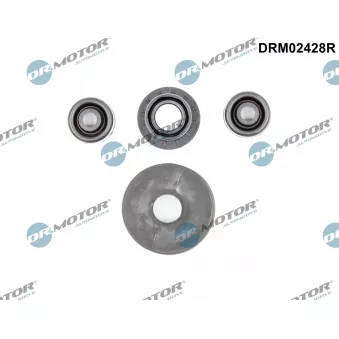 Kit de réparation, levier de changement de vitesse Dr.Motor DRM02428R