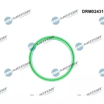 Bague d'étanchéité, gaine de suralimentation Dr.Motor DRM02431