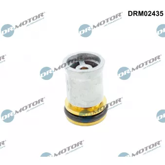 Soupape de retenue Dr.Motor DRM02435