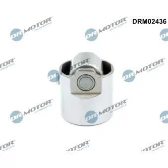 Pilon, Pompe à haute pression Dr.Motor DRM02436