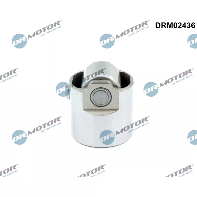 Pilon, Pompe à haute pression Dr.Motor DRM02436
