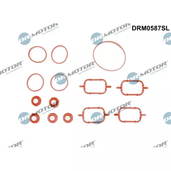 Jeu de joints d'étanchéité, collecteur d'admission Dr.Motor DRM0587SL