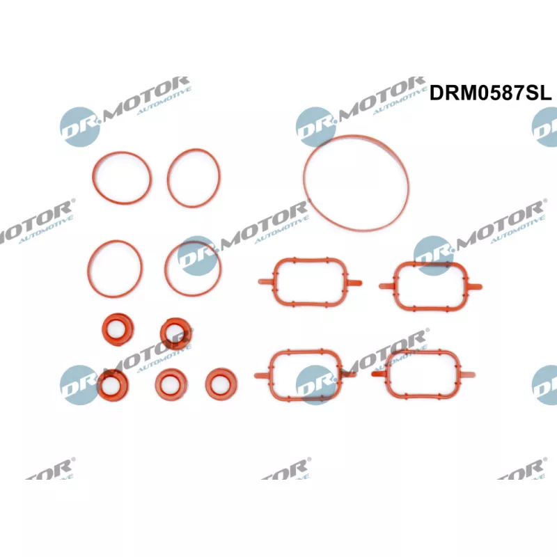 Jeu de joints d'étanchéité, collecteur d'admission Dr.Motor DRM0587SL