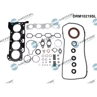 Pochette moteur complète Dr.Motor DRM10219SL