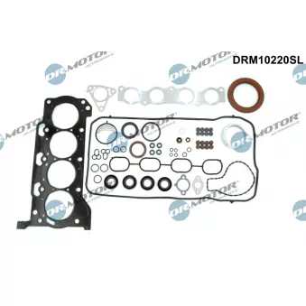 Pochette moteur complète Dr.Motor DRM10220SL