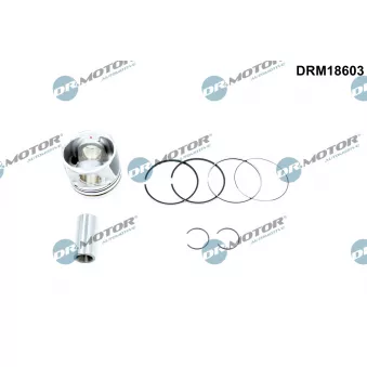 Piston Dr.Motor DRM18603