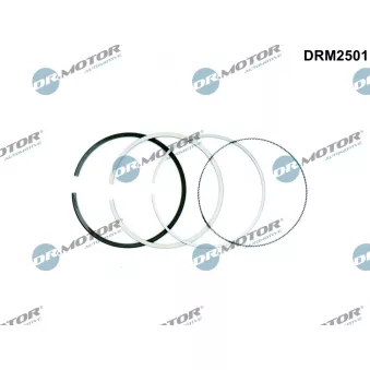 Jeu de segments de pistons Dr.Motor DRM2501