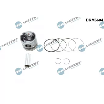 Piston Dr.Motor DRM6604